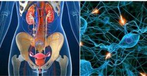 علایم سرطان پروستات چیست؟